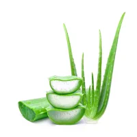 AloeVera