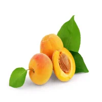 Apricot