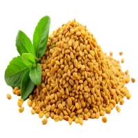 Fenugreek