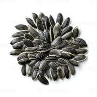 Sunflower Seeds